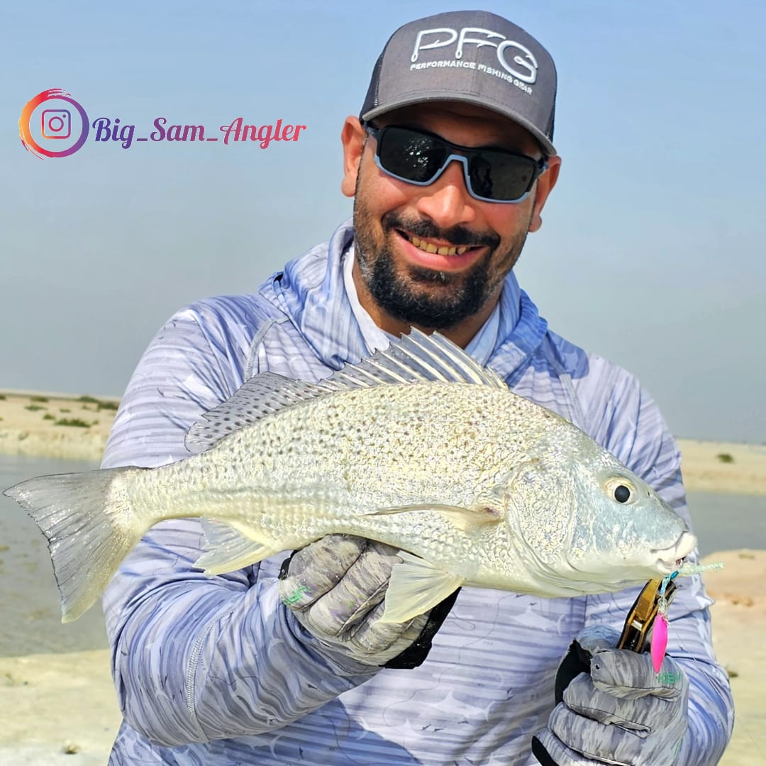 WEIHAI FSTK Metal Jig Yardımcı - Fishing Hook Assortment incelemesi ve fiyatı